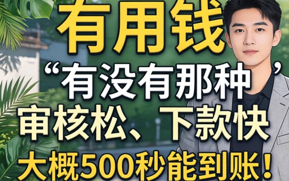 急用钱！有没有那种审核松、下款快，大概500秒能到账的网贷平台推荐？