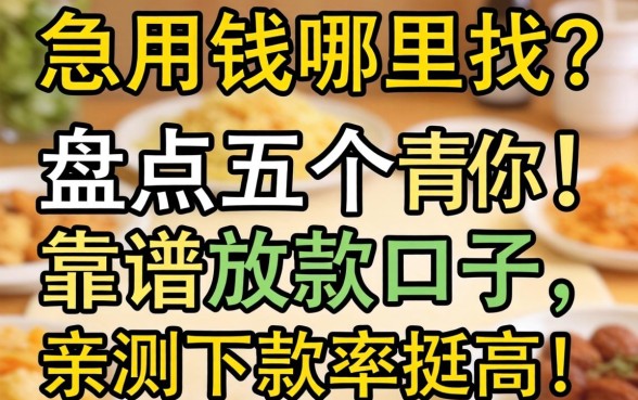 急用钱哪里找?盘点五个靠谱放款口子,亲测下款率挺高!