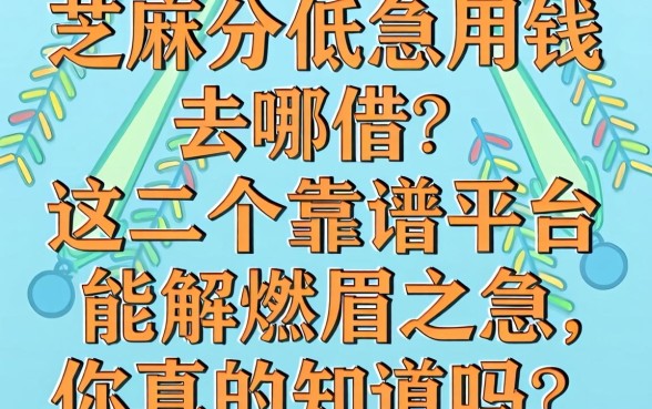 芝麻分低急用钱去哪借?这几个靠谱平台能解燃眉之急,你真的知道吗?