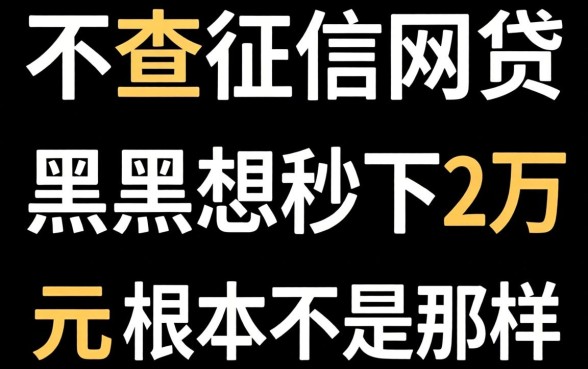 我试了所有号称不查征信的网贷,发现黑户想秒下2万元根本不是那样