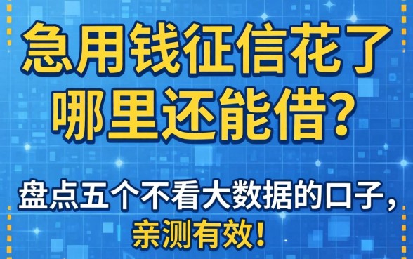 急用钱征信花了哪里还能借?盘点五个不看大数据的口子,亲测有效!