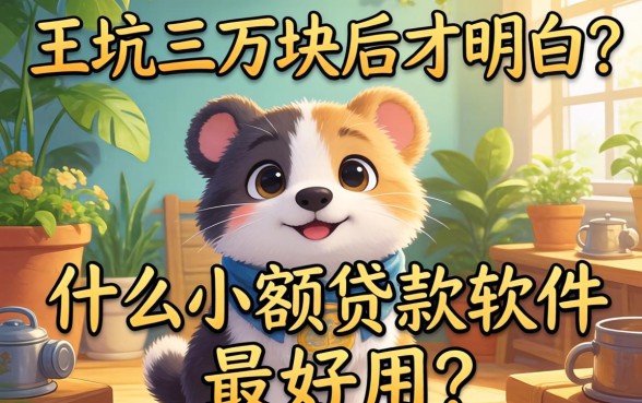 被坑三万块后才明白：什么小额贷款软件最好用？