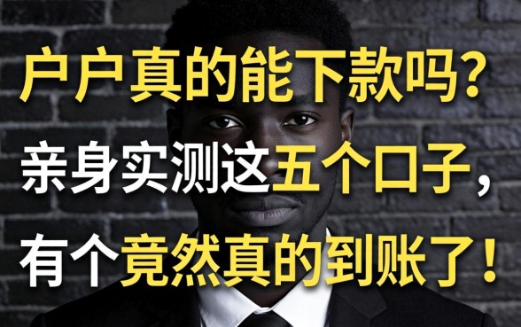 黑户真的能下款吗？亲身实测这五个口子，有个竟然真的到账了！