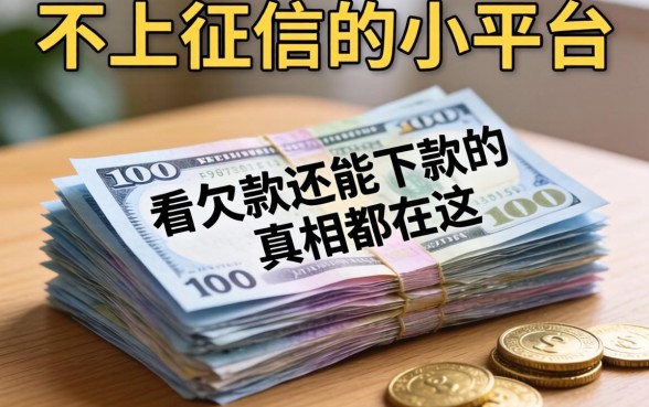 我翻烂了那些不上征信的小平台，发现不看欠款还能下款的真相都在这