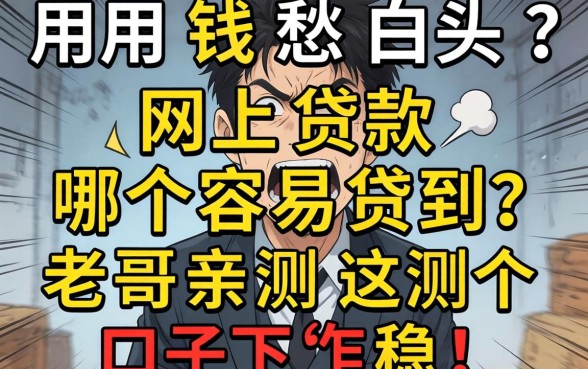 急用钱愁白头?网上贷款哪个容易贷到?老哥亲测这几个口子下款稳!