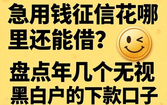 急用钱征信花哪里还能借？盘点2026年几个无视黑白户的下款口子