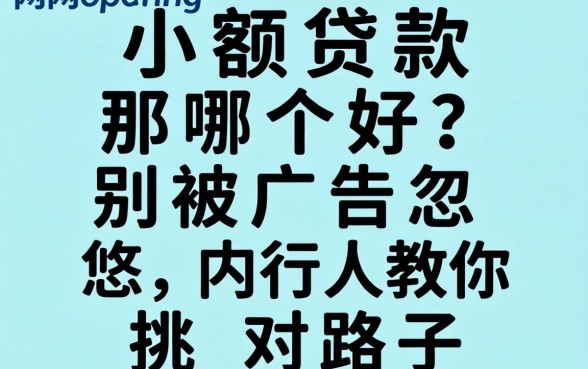 网上小额贷款那哪个好？别被广告忽悠，内行人教你挑对路子