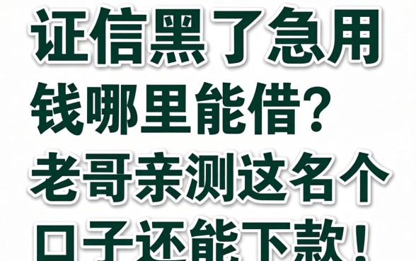 征信黑了急用钱哪里能借?老哥亲测这几个口子还能下款!