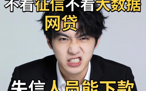 我翻烂了2026不看征信不看大数据的网贷，发现失信人员能下款的真相