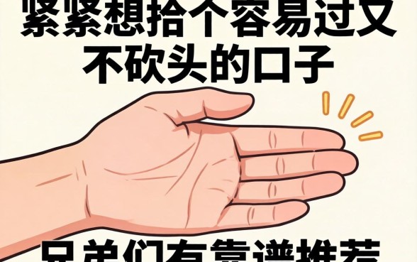 手头紧想找个容易过又不砍头的口子，兄弟们有靠谱推荐吗？