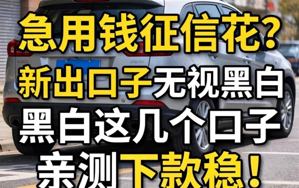 急用钱征信花？2026新出口子无视黑白，这几个口子亲测下款稳！