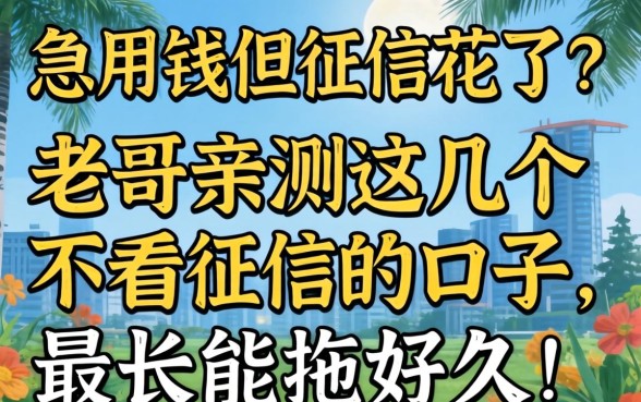 急用钱但征信花了？老哥亲测这几个不看征信的口子，最长能拖好久！