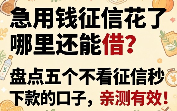 急用钱征信花了哪里还能借?盘点五个不看征信秒下款的口子,亲测有效!