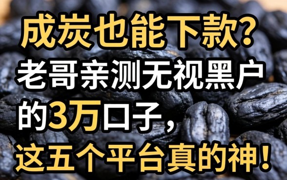 征信黑成炭也能下款?老哥亲测无视黑户的3万口子,这五个平台真的神了!