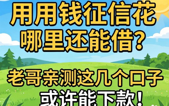急用钱征信花哪里还能借？老哥亲测这几个口子或许能下款！