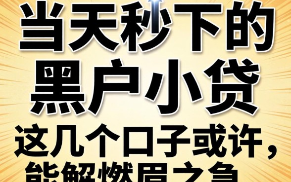 揭秘当天秒下的黑户小贷,这几个口子或许能解燃眉之急