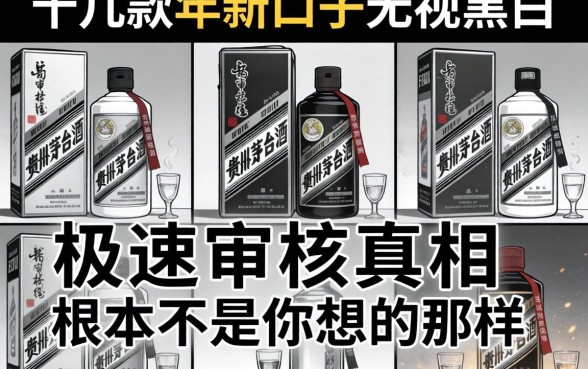 我试了十几款2026年新口子无视黑白，发现极速审核的真相根本不是你想的那样