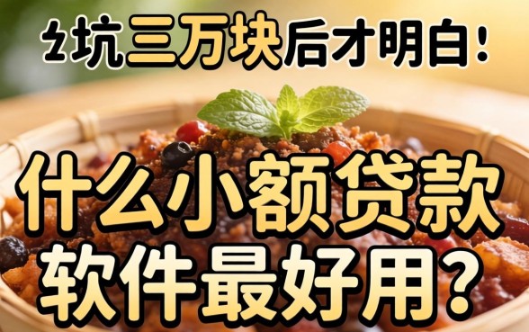 被坑三万块后才明白：什么小额贷款软件最好用？