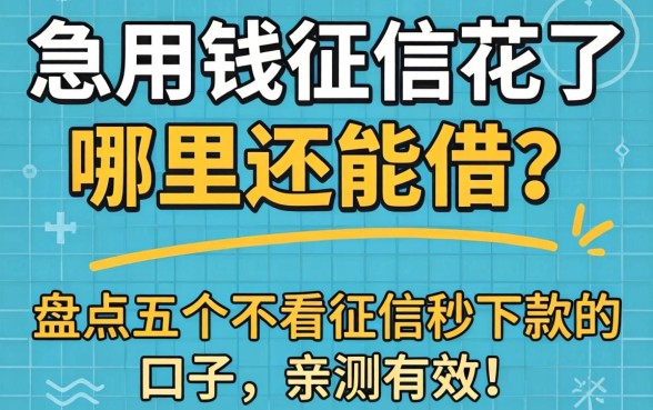 急用钱征信花了哪里还能借?盘点五个不看征信秒下款的口子,亲测有效!