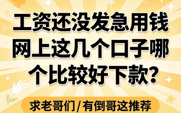 工资还没发急用钱，网上这几个口子哪个比较好下款？求老哥们推荐！