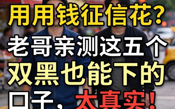急用钱征信花？老哥亲测这五个双黑也能下的口子，太真实了！