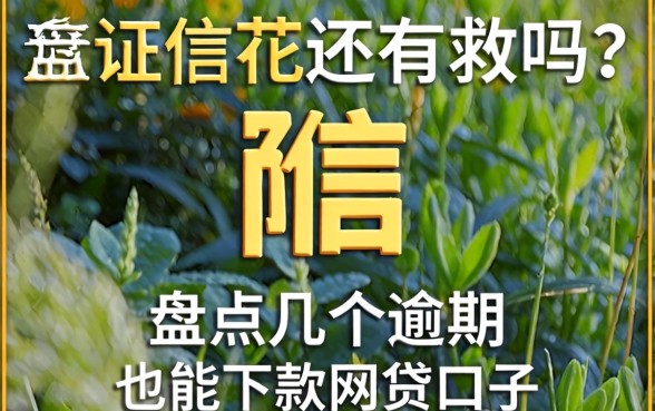 征信花还有救吗?盘点几个逾期也能下款的网贷口子