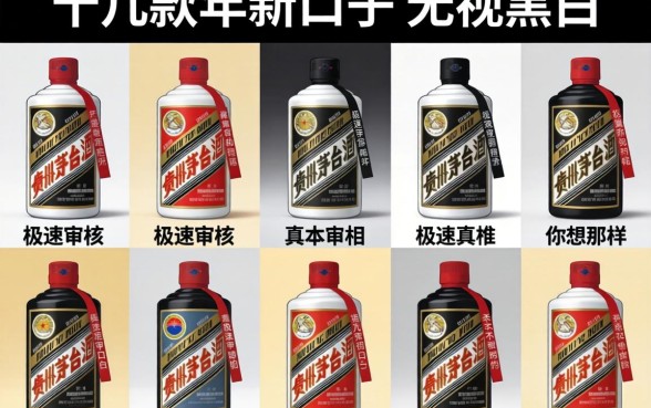 我试了十几款2026年新口子无视黑白，发现极速审核的真相根本不是你想的那样