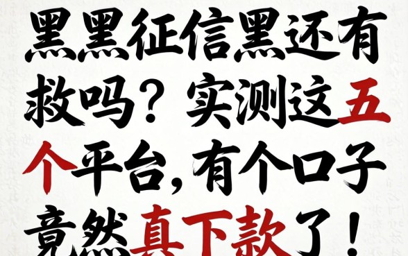 网黑征信黑还有救吗？实测这五个平台，有个口子竟然真下款了！