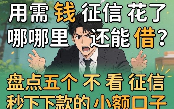 急用钱征信花了哪里还能借?盘点五个不看征信秒下款的小额口子