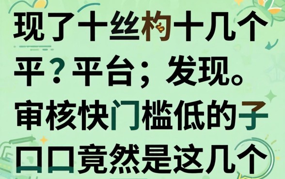 我试了十几个平台，发现审核快门槛低的口子竟然是这几个