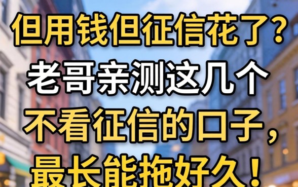 急用钱但征信花了？老哥亲测这几个不看征信的口子，最长能拖好久！