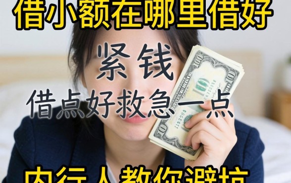 手头紧想借点钱救急?借小额在哪里借好一点?内行人教你避坑
