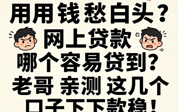 急用钱愁白头?网上贷款哪个容易贷到?老哥亲测这几个口子下款稳!