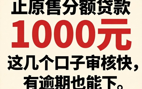 直接借1000元小额贷款:这几个口子审核快,有逾期也能下
