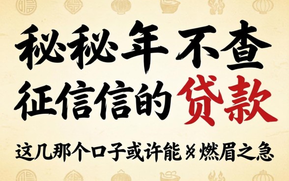 揭秘2026年不查征信的贷款,这几个口子或许能解燃眉之急