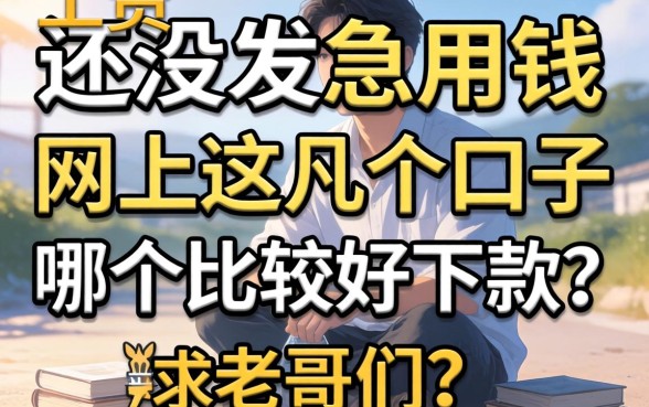 工资还没发急用钱，网上这几个口子哪个比较好下款？求老哥们推荐！