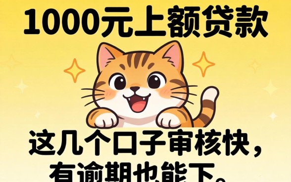 直接借1000元小额贷款:这几个口子审核快,有逾期也能下