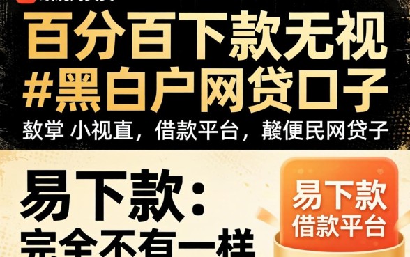 我试了所谓的百分百下款无视黑白户网贷口子,结果和易下款的借款平台完全不一样