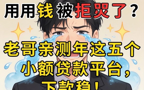 急用钱被拒急哭了？老哥亲测2026年这五个小额贷款平台，下款稳！