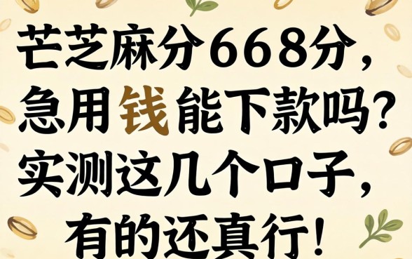 芝麻分668分，急用钱能下款吗？实测这几个口子，有的还真行！