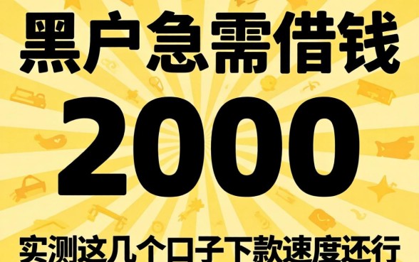 黑户急需借钱2000，实测这几个口子下款速度还行
