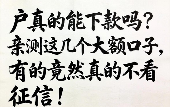 黑户真的能下款吗？亲测这几个大额口子，有的竟然真的不看征信！