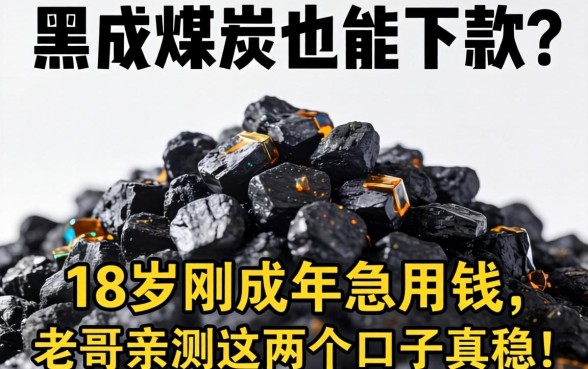 征信黑成煤炭也能下款？18岁刚成年急用钱，老哥亲测这几个口子真稳！