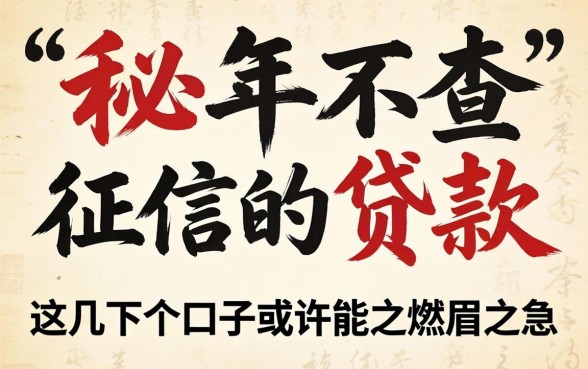 揭秘2026年不查征信的贷款,这几个口子或许能解燃眉之急