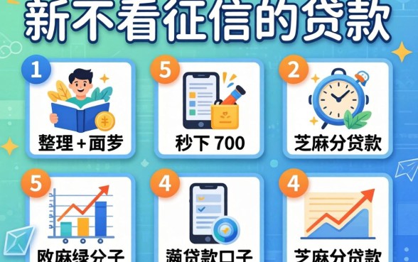 没有没有不看征信的贷款，整理5个秒下700芝麻分贷款口子