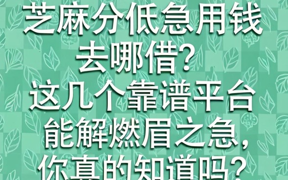 芝麻分低急用钱去哪借?这几个靠谱平台能解燃眉之急,你真的知道吗?