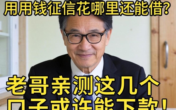 急用钱征信花哪里还能借？老哥亲测这几个口子或许能下款！