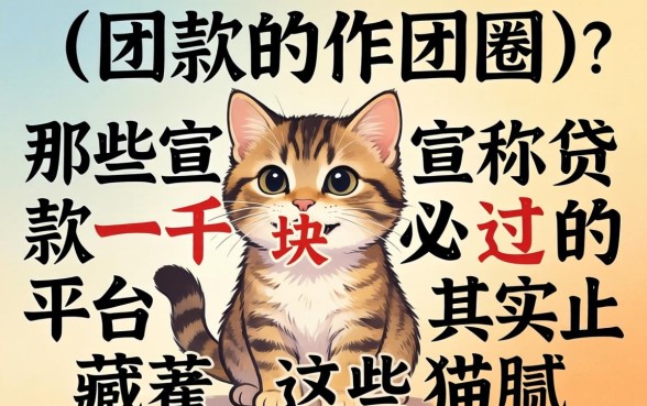 我试了一圈,那些宣称贷款一千块必过的平台其实藏着这些猫腻