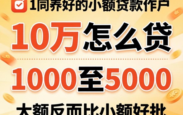 我试了10万怎么贷和1000至5000的小额贷款软件，发现大额反而比小额好批