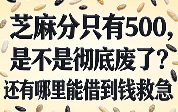 芝麻分只有500，是不是彻底废了？还有哪里能借到钱救急？